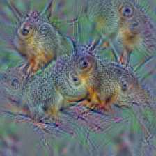 n02356798 fox squirrel, eastern fox squirrel, Sciurus niger